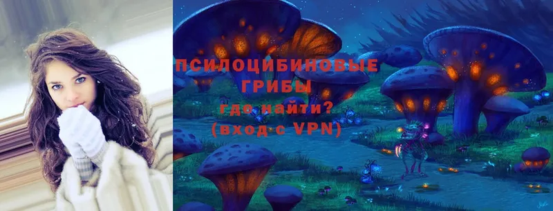 omg как зайти  магазин  наркотиков  Ворсма  Псилоцибиновые грибы MAGIC MUSHROOMS 